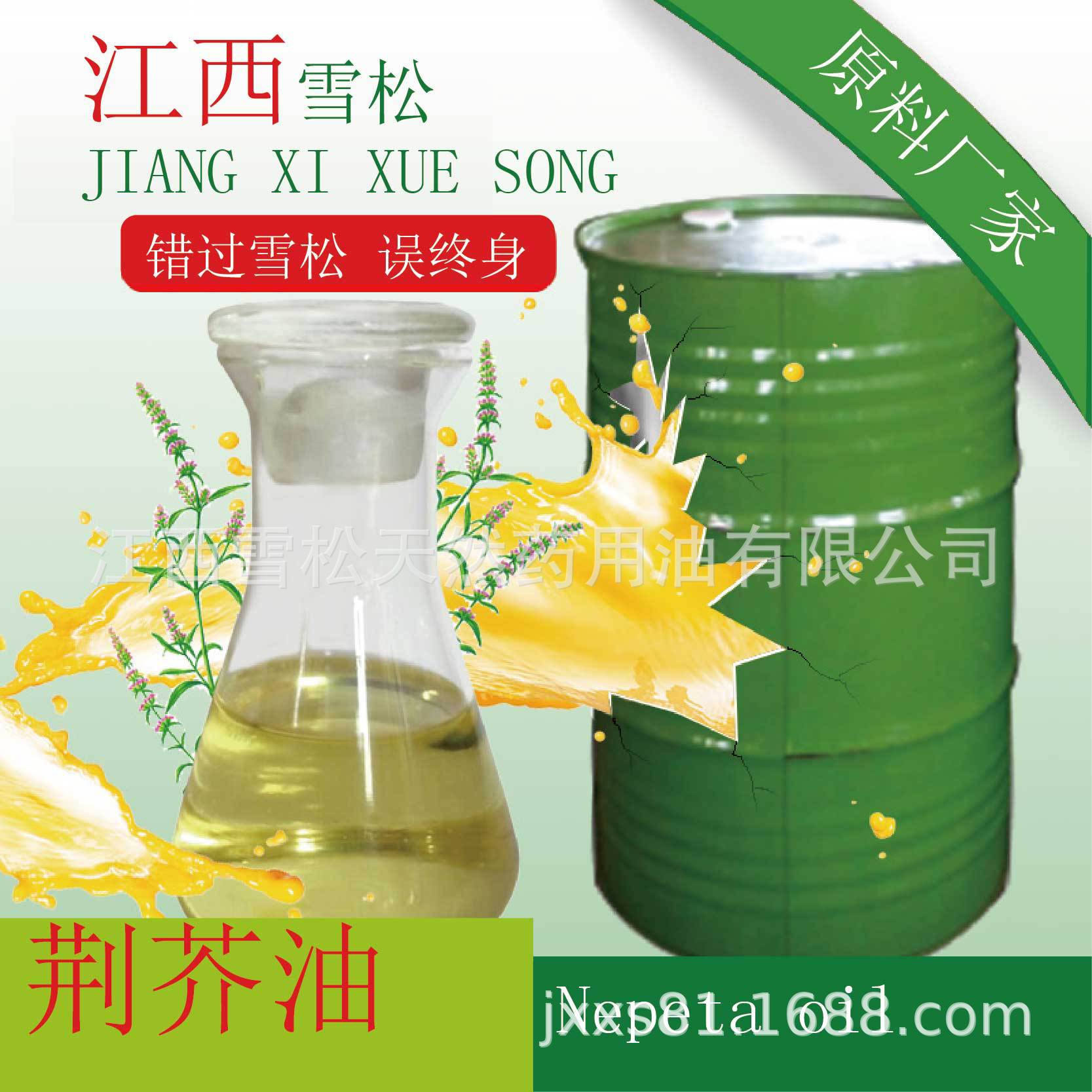 厂家直供     植物提取荆芥油 荆芥精油 量大从优