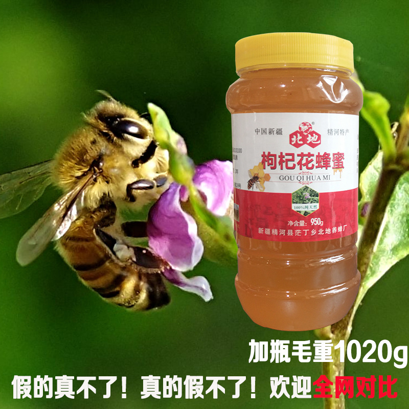 全国包邮厂家直销新疆特产枸杞蜂蜜纯天然农家自产野生非百花蜜|ms