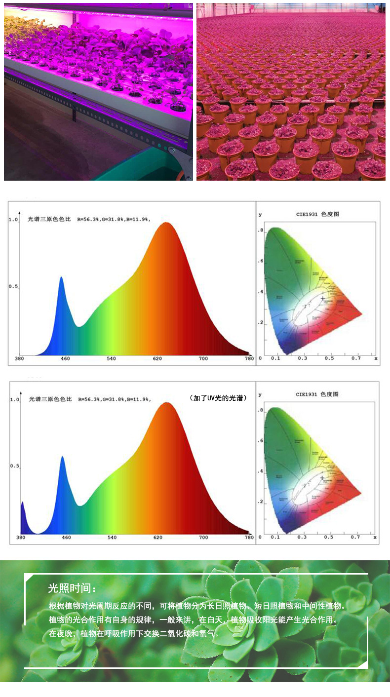 全光谱T8植物生长灯 一体化植物灯管 led植物补光灯 9W/18W-阿里巴巴