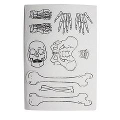 科技小製作 人體骨架 科學實驗模型人體骨骼拼圖 實驗器材DIY教具