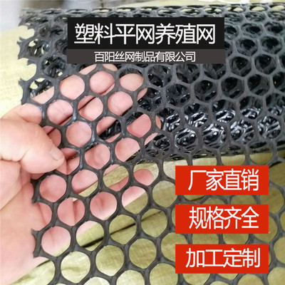 供应塑料平网养殖网 成鸡养殖网可定做养蜂网