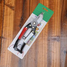 �������/����/���ü���/�FƤ��/���I�ü�/�@�ּ���/��֦����