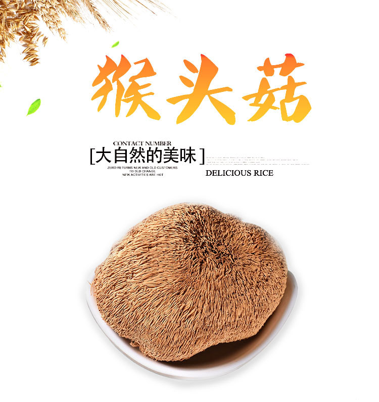 Hou Tou Gu Dried Mushroom (Hericium erinaceus) — Gutian Lion's Mane Food Herb 500g overview