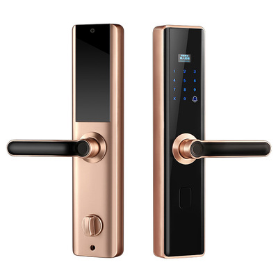指紋鎖家用防盜門智能鎖遠程刷卡密碼電子鎖全自動開鎖生産廠家