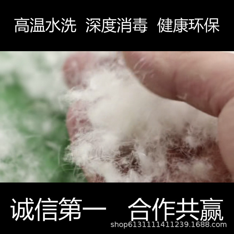 9016212328_980119599