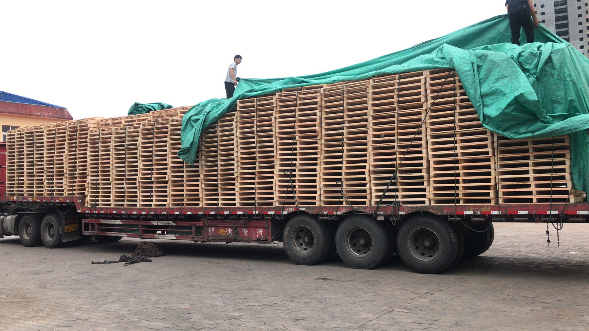 微信图片_20180623084329