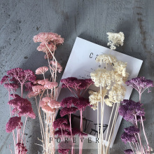 ������diy�������l��ɫ��ɫ�\��ɫ��������ˇ���µ���� Ԋ��