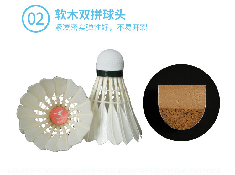羽毛球701_05.jpg