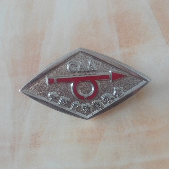 中国自动化学会徽章 (2)