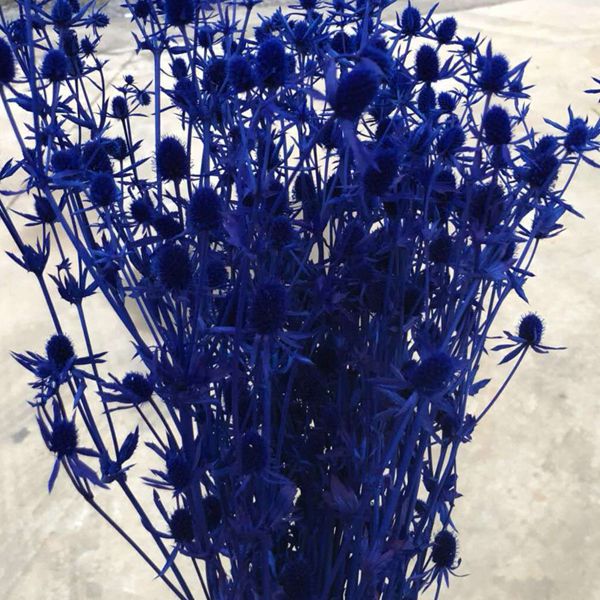 微信图片_20180626132018_副本