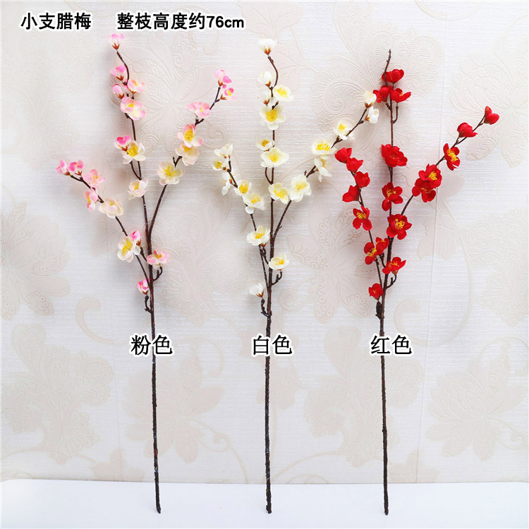 小支腊梅 色卡 华康.jpg