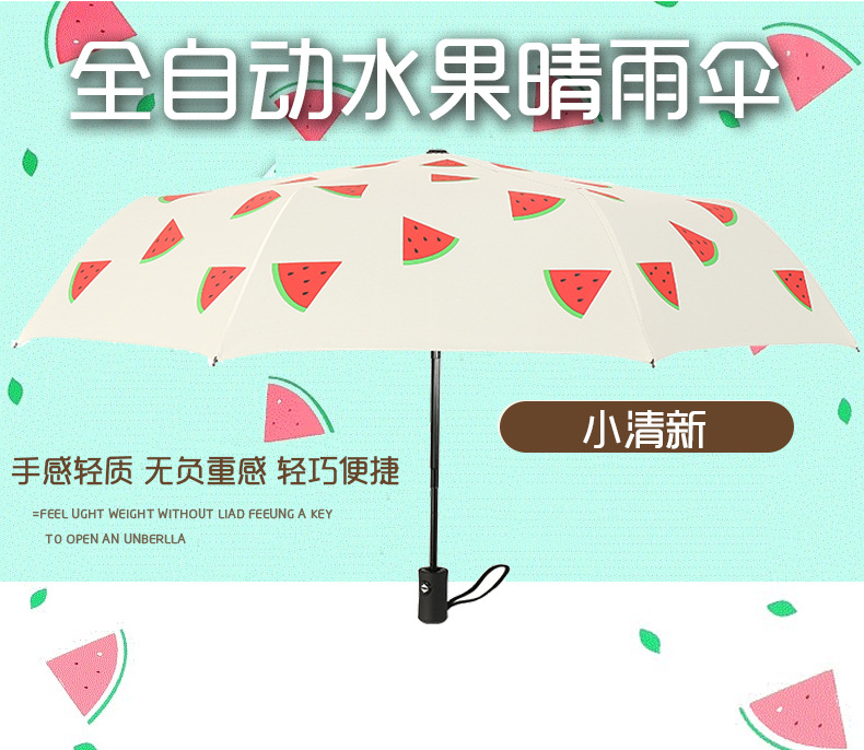 布朗熊全自动_01