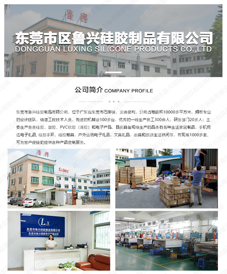 公司介绍详情_01.jpg