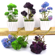 6�^����˻� �پGֲܛ�z����ֲ�����ϻ� ����ٲ������辰