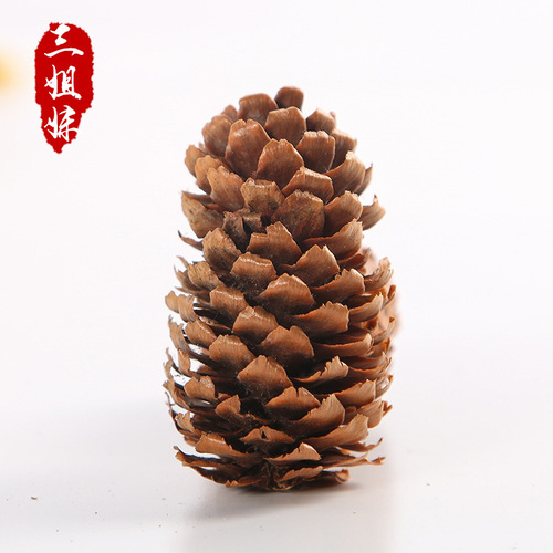 Small fish scale pine cones, northern and southern pine cones, larch dehydrated pine cones, Christmas tree decoration, natural raw materials wholesale