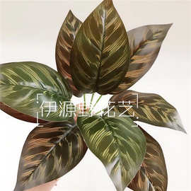 孔雀叶仿真植物墙配材 过胶高档大9头仿真竹芋叶绿植把束