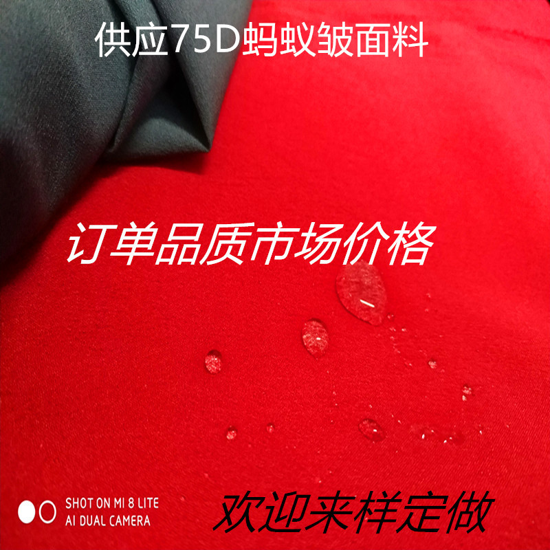 Cloth