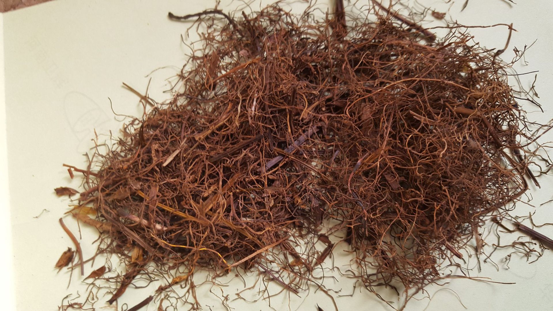 中藥材黃連須黃蓮須 黃連須 黃連須