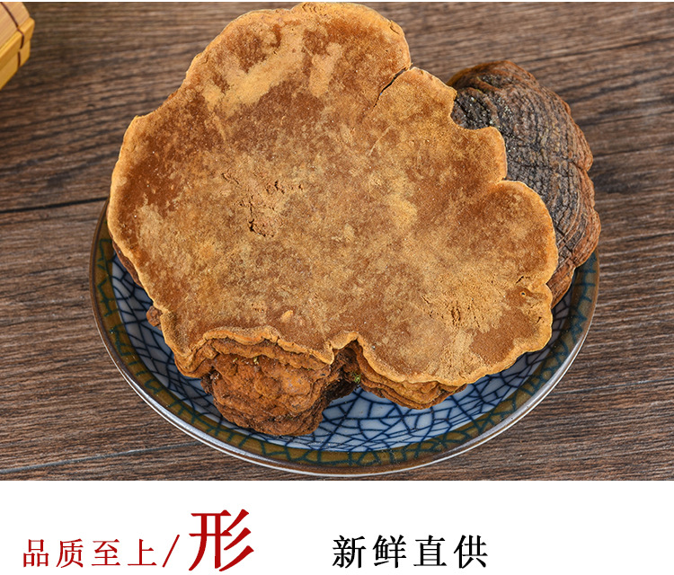 Sang Huang (Sanghuangporus sanghuang) — Wild Northeast Mulberry Yellow Fungus, Food-Herb Mushroom for Cooking specifications
