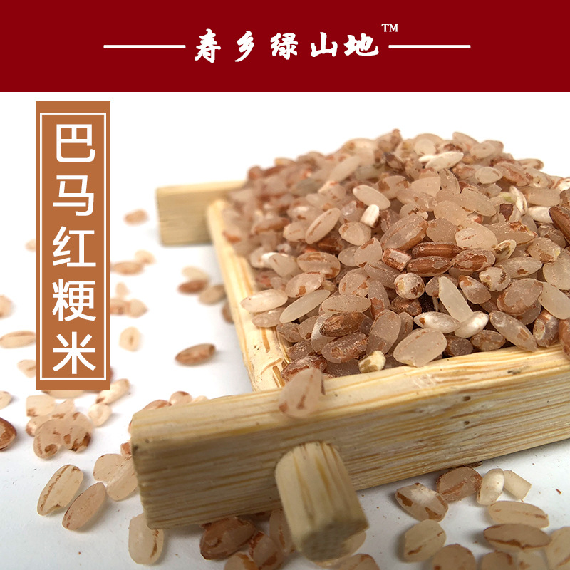 Large Bama specialty Rice Red Brown Farm Production M red Cold water Middle-season rice