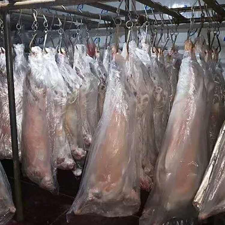 Order Northern Shaanxi Yokoyama Backyard Vanilla mutton Goat Scorpion fresh Lamb chop Gigot Shaanxi specialty wholesale