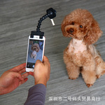 Домашнее животное статьи самому заказать артефакт pet selfie stick собака китти игрушка смотреть объектив телефон зажим сын