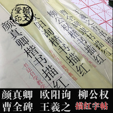 ���l��ȫ������w�����W�ԃ���w��t���� ë�P�� ���W����ë߅��