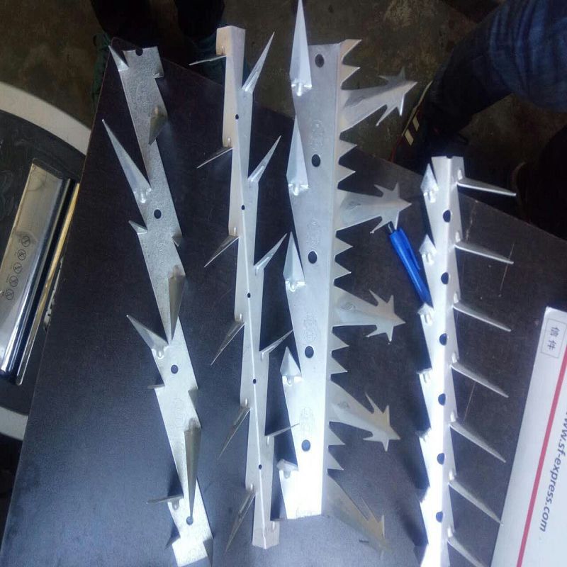 防爬刺钉 小区围墙刺钉 围栏防盗刺 墙头刺 围栏刺钉 防盗刺钉