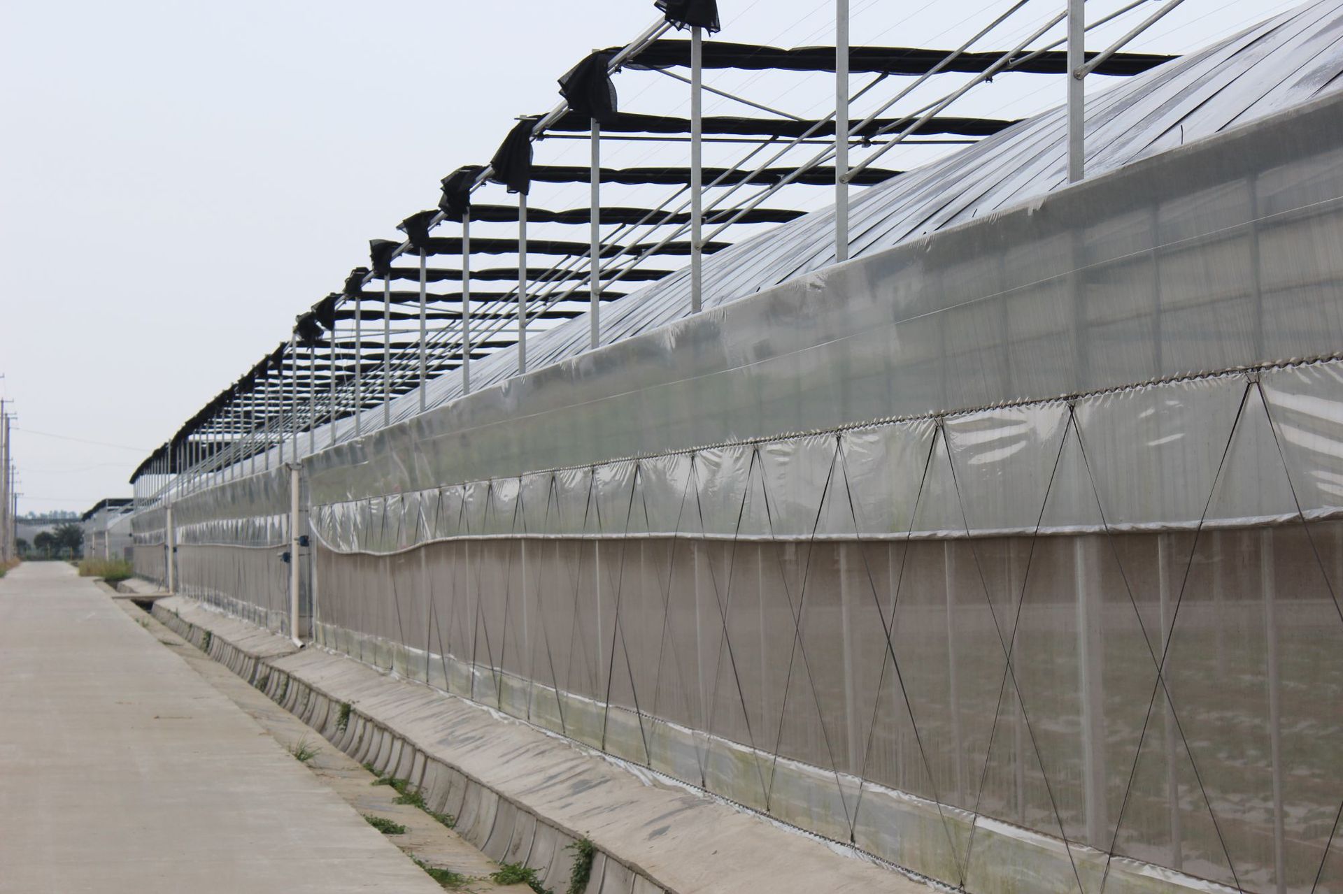 温室大棚防虫网