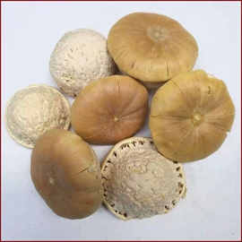 其他药食同源;参类滋补品;当归