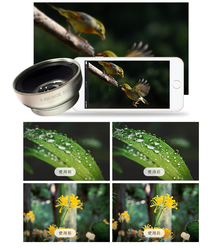 9013590092_1816166119