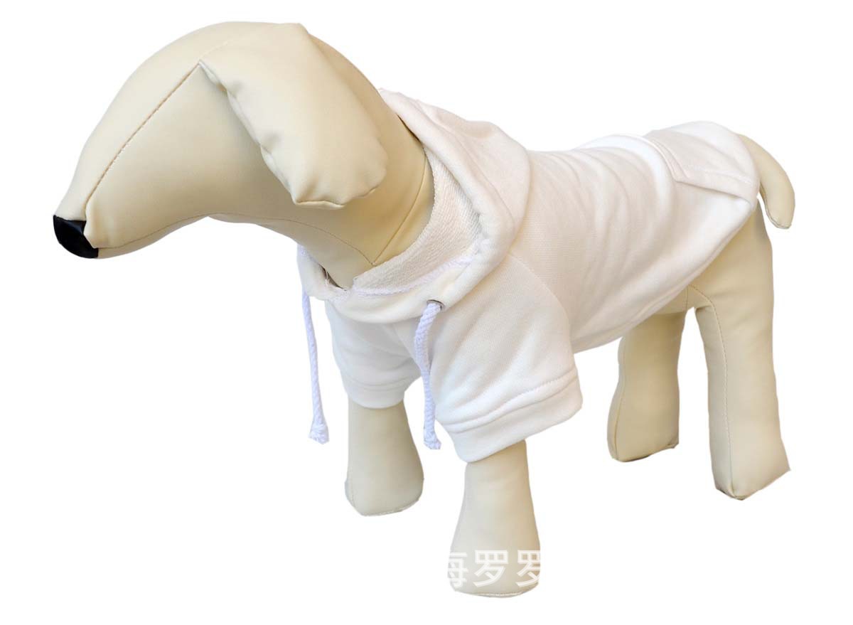 照片-507.jpg