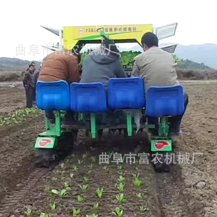 自动化辣椒甜菜移栽机 富农西红柿移栽机茄子插秧机