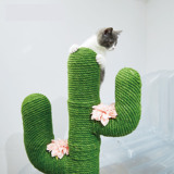 Нет карты Ветреска кошка для лазания полки