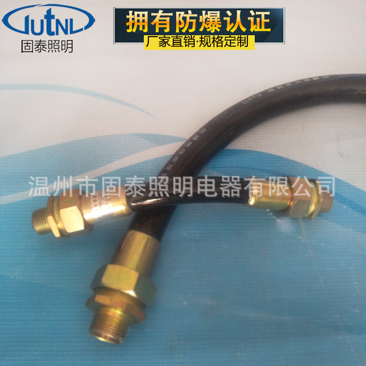 防爆软管BNG-DN32*1000 1-1/4NPT螺纹 防爆挠性连接管 可定制长度