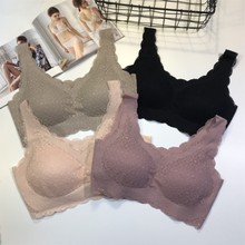 ����503����ձ���������������˿�Ը��޺��޸�Ȧ����͸��������