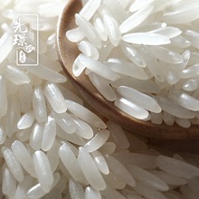 泰國進口金百合茉莉香米長粒香10斤正品原裝一級大米2021新米批發
