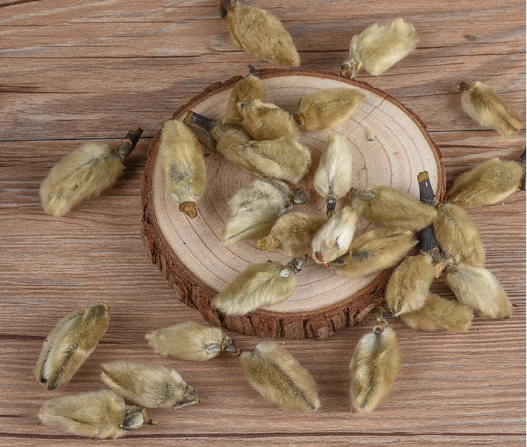 Xin Yi Hua (Magnolia biondii) — Dried Magnolia Flower Buds, Food-Herb for Tea & Soup key features