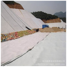 重庆厂家批发透水土工布 无纺短纤养护 路面养生用无纺生态袋