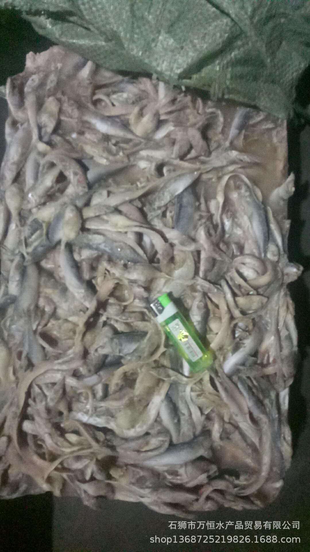 冰冻小杂鱼饲料批发,低价出售冰冻饲料鱼,冰鲜小杂鱼大量批发(第2页)_大山谷图库