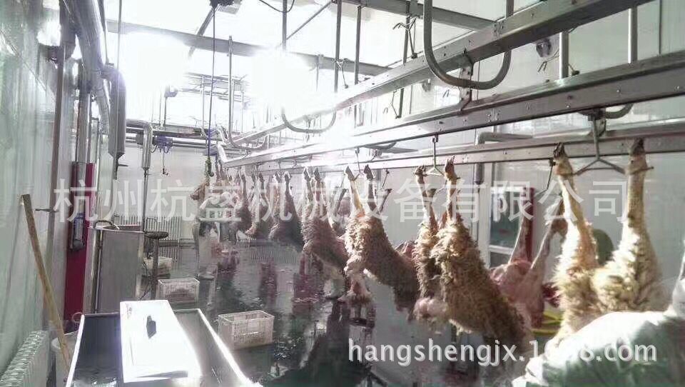 清真羊屠宰设备