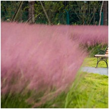 �ݱ�ֲ��@�֝�ؾG������y�Ӳ�  ���^���� �^�p���޸�����