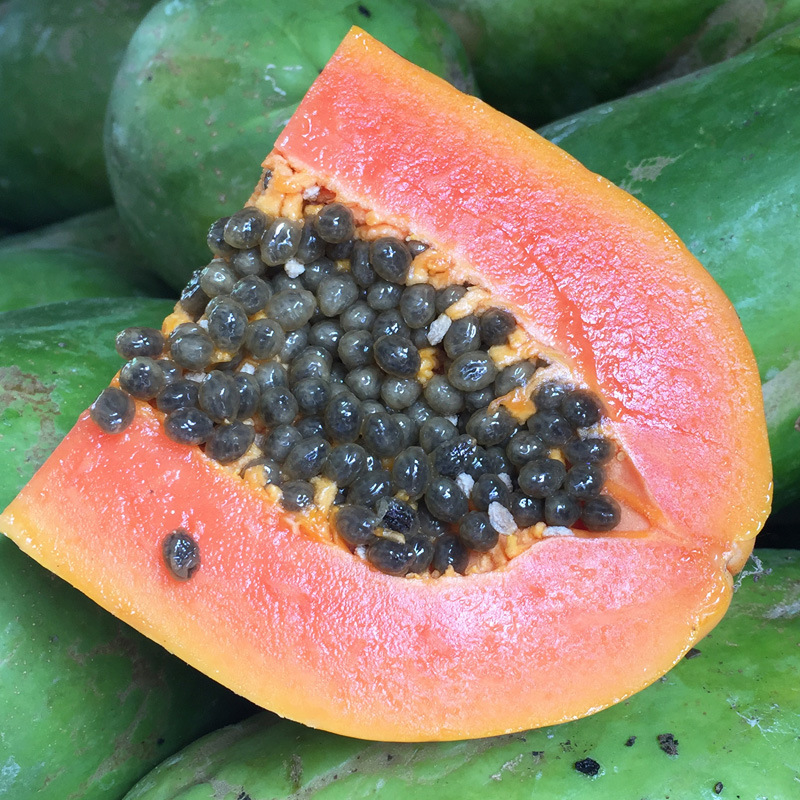 Hainan Red Papaya A generation of fat Rock sugar milk Papaya 9 pounds