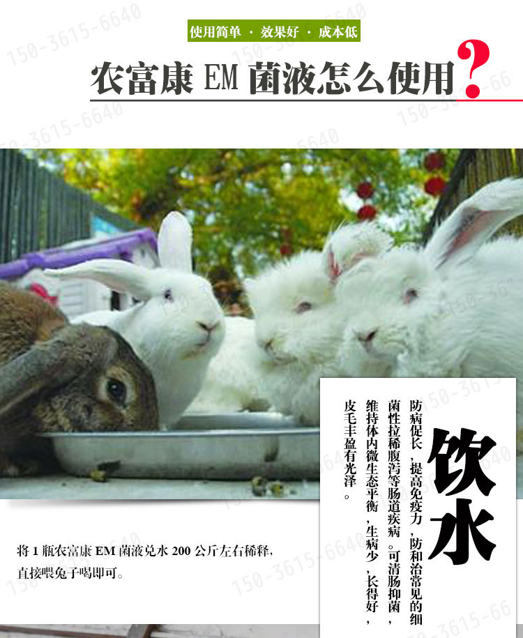 em菌液在兔子养殖上怎么用