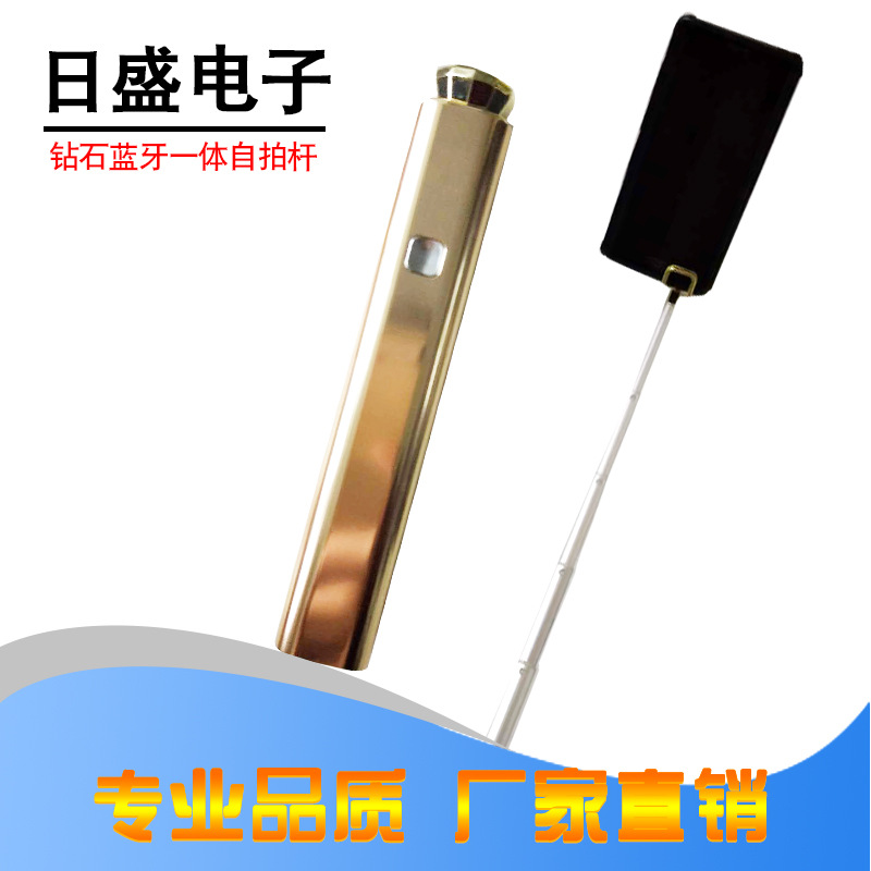 Bâton selfie en Espace aluminium - Ref 3386102 Image 1