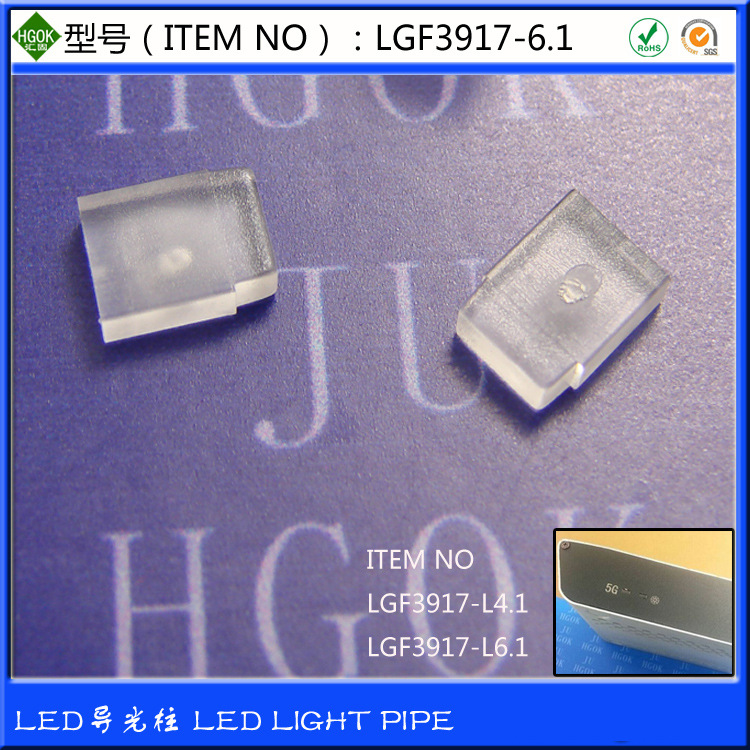 LGF3917-6.1.jpg