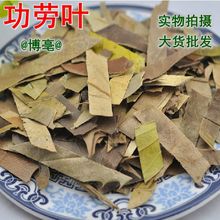 �����~ �۹��~ ؈���� �۹Ǵ� ����� ʮ�󹦄��~