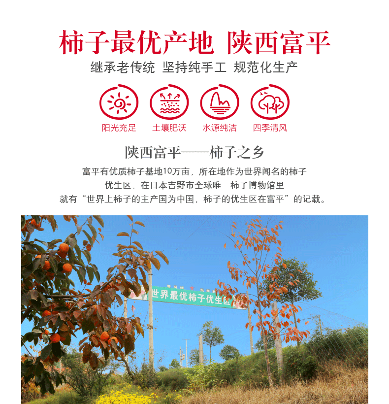 1688详情页-宽790像素_12