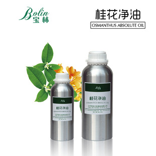 �S�����l �𻨃��� ������� ľ�؃��� ��ԭ�� ��ȡ �F؛