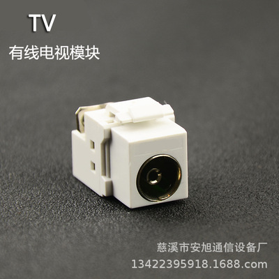 TV電視模塊 有線電視模塊 數字電視模塊 通用模塊接口電視模塊